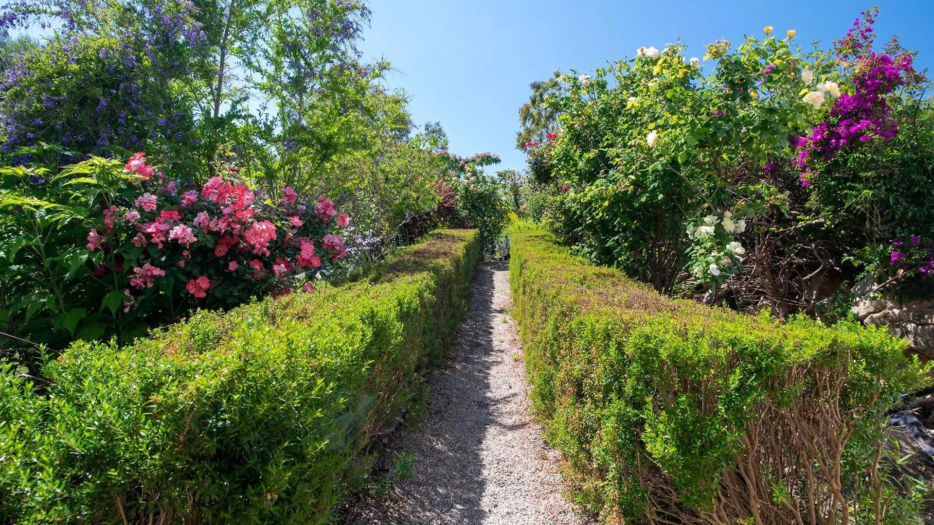 Sardinia Re - Villa Fioretta Flowers Apartments Olmedo